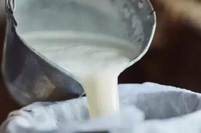 Şubat’ta Süt Üretimi Azaldı, Ayran ve Kefirde Artış Yaşandı Şubat’ta Süt Üretimi Azaldı, Ayran ve Kefirde Artış Yaşandı