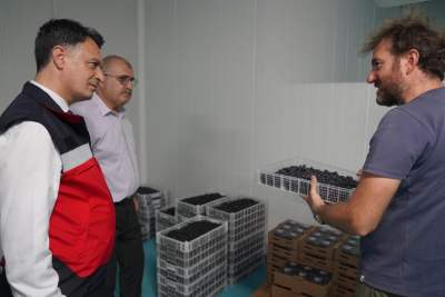 Zonguldak ve Bartın tarım müdürlerinden yaban mersini bahçesine ziyaret Zonguldak ve Bartın tarım müdürlerinden yaban mersini bahçesine ziyaret