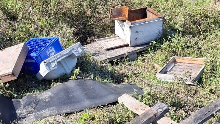 Zonguldak’ta Ayı Dehşeti: “Kovanları Çilingir Sofrasına Çevirdiler” Zonguldak’ta Ayı Dehşeti: “Kovanları Çilingir Sofrasına Çevirdiler”